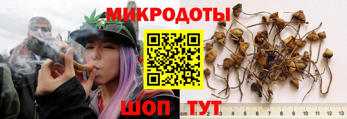 Псилоцибиновые грибы Magic Shrooms  Вход с VPN  как найти наркотики  Егорьевск 